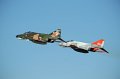 GD DSC_4286